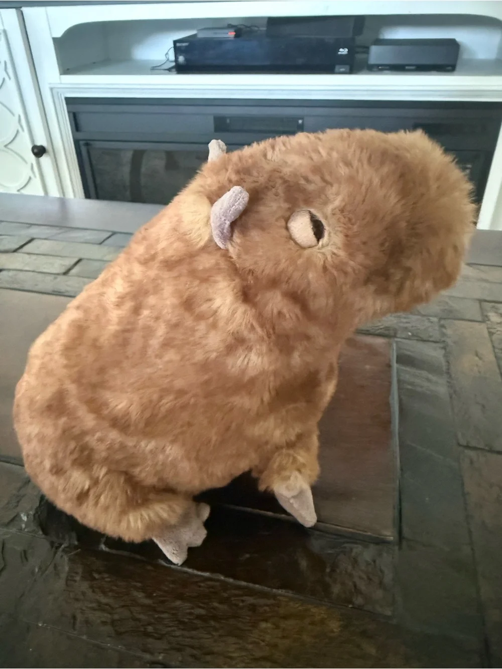 Jellycat Tan and Dark Brown Capybara Plush - Picture 9 of 11